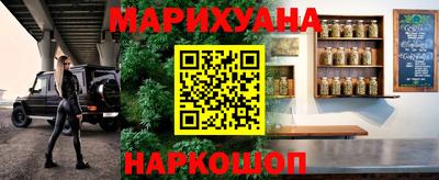 сатива Можайск