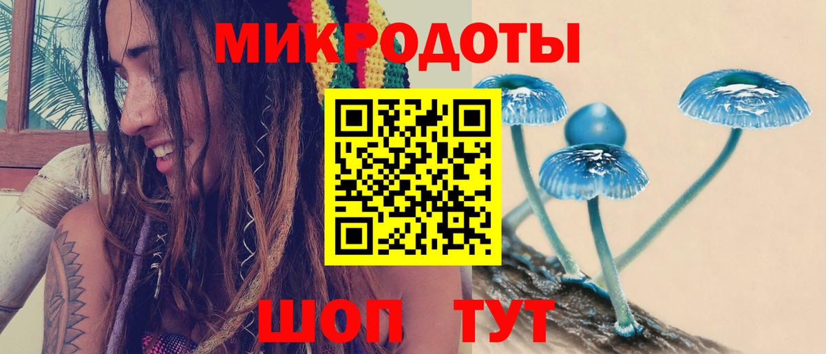 Холмск  Галлюциногенные грибы Cubensis  Вход с VPN 