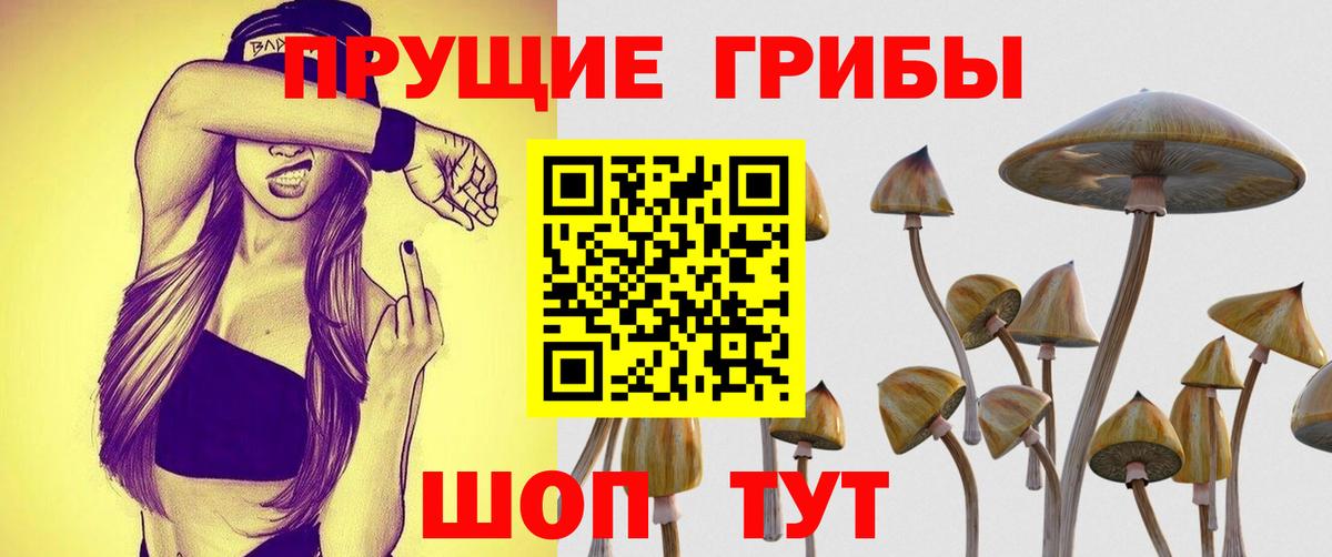 Псилоцибиновые грибы мухоморы Холмск