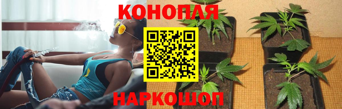 Холмск  Марихуана ГИДРОПОН  Марихуана OG Kush  Вход с VPN 
